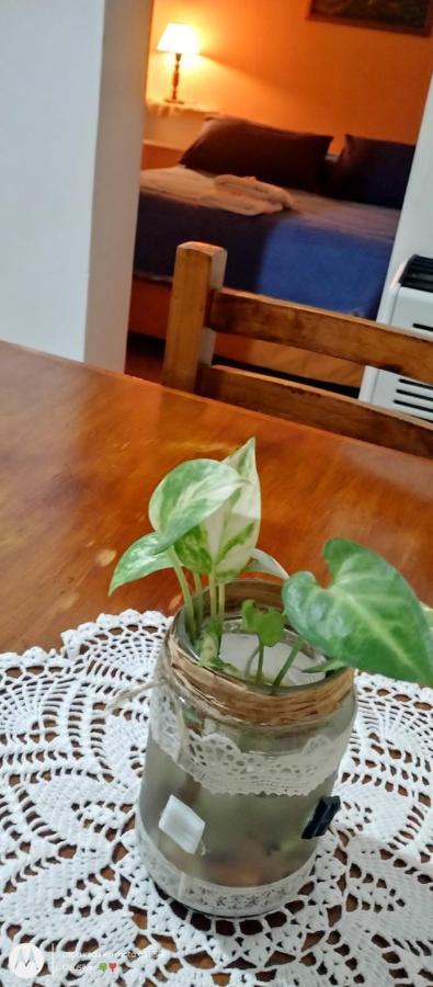 Excelente Departamento En Centro De Apartment *